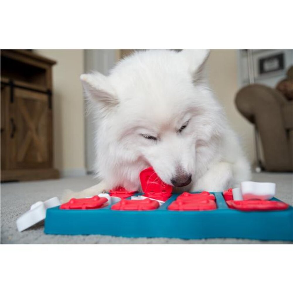 Dog Brick Interactive Treat Puzzle Dog Toy, Blue, One-Size - Picture 5 of 6